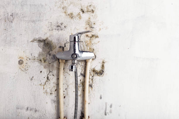 Best Post-Flood Mold Remediation in Leith Hatfield, PA