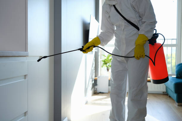Best Residential Mold Remediation in Leith Hatfield, PA